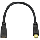 DigitalFoto Solution Limited Micro-HDMI Male to Micro-HDMI Female Extension Adapter (1')