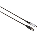 Hawk-Woods 2-Pin LEMO 0B Male to 4-Pin Mini-XLR Female Cable (29.5")
