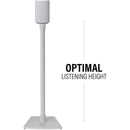 SANUS Fixed-Height Floor Stand for Sonos Era 100 Speakers (White, Single)