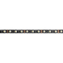 ENTTEC 8PXW60 RGBW LED Strip (Black, 16.4')
