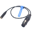 DigitalFoto Solution Limited 3-Pin Mini-XLR Male to XLR Female Cable for Blackmagic Pocket Cinema Camera 6K/4K (1.6')