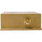 RF-Links Military-Grade 30W High-Power Amplifier (2400 MHz)