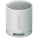 Sony XB100 Portable Bluetooth Speaker (Gray)