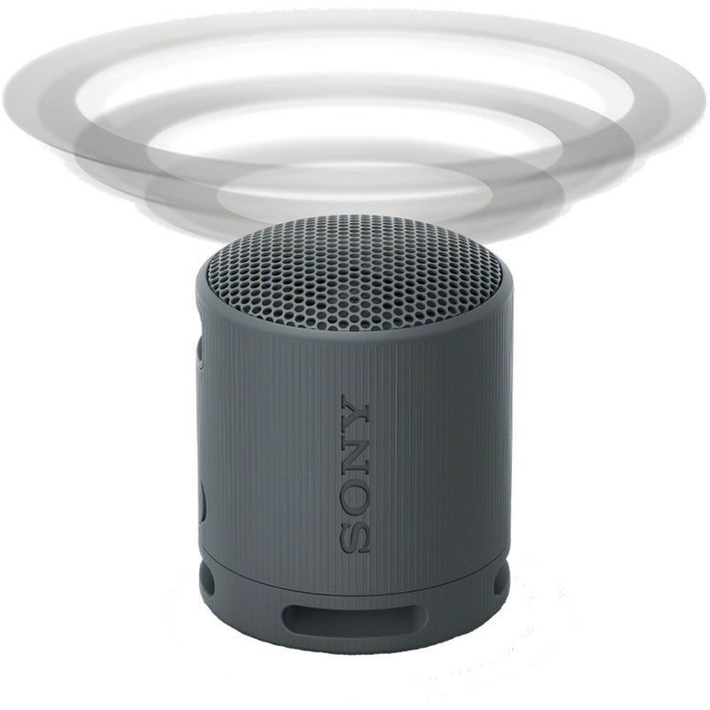 Sony XB100 Portable Bluetooth Speaker (Gray)