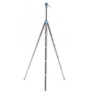 Benro CyanBird Carbon Fiber Tripod with FS20PRO 2-in-1 Pan Head