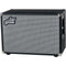 aguilar DB2104CB 350-Watt Bass Speaker Cabinet (4 Ohms)
