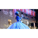 CITC Little Blizzard Professional Snow Machine (120 VAC)