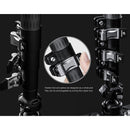 Leofoto MV-324CL Carbon Fiber Monopod with BV-10 Fluid Video Head