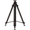 E-Image GA230-PTZ Aluminum Tripod with Rising Center Column Kit with Dolly