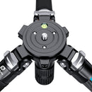 Leofoto LVM-324C 4-Section Carbon Fiber Manba Tripod with BV-15 Head System