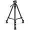 Leofoto LVC-193C Carbon Fiber Twin Leg Tripod with BV-10 Video Head