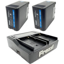 Frezzi FS-2 FBP-U100 Sony BP-U-Type 2-Battery Kit with Dual Charger (100Wh)