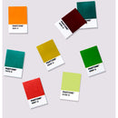 Pantone Solid Chips Supplement (Coated & Uncoated)
