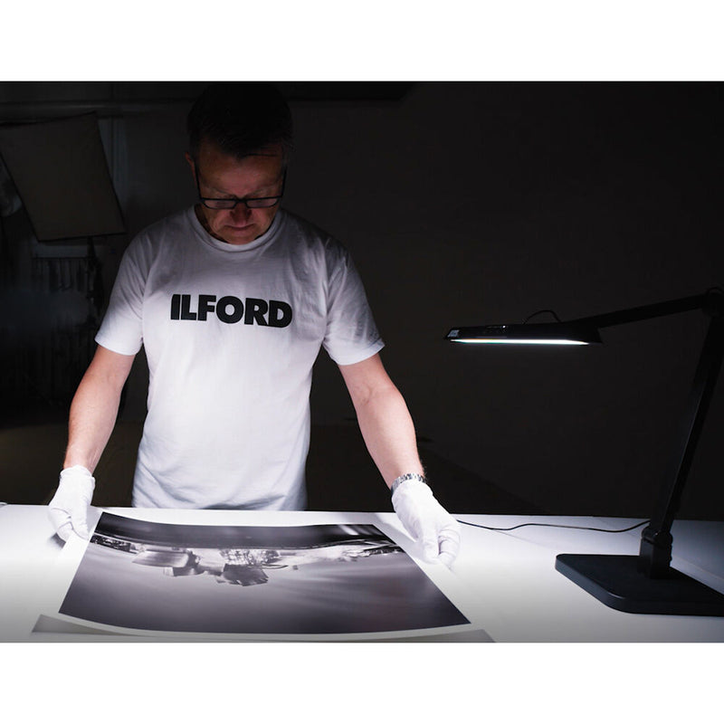 Ilford ILFOLUX Color Viewing Lamp