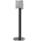 FLEXSON Floor Stand for Sonos Era 300 Speaker (Black, Single)