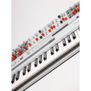 UDO Audio Super Gemini 20-Voice Polyphonic Digital/Analog Hybrid Synthesizer