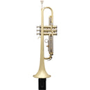 Gator Wall Hanger for Trumpet (Black)