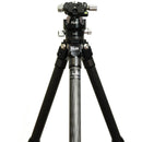 FLM CP26-Travel II Carbon Fiber Tripod with 47GX Ball Head and QLB-50 Quick Release Clamp