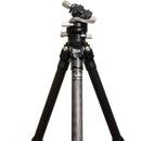 FLM CP26-Travel II Carbon Fiber Tripod with 47GX Ball Head and QLB-50 Quick Release Clamp