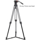 Teris TS416AL 1-Stage Aluminum Tripod