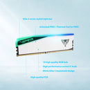 Patriot 16GB Viper Elite 5 DDR5 Memory DIMM Module (White)