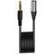 Comica Audio CVM-D-XLR 3.5mm TRS to 3-Pin XLR Male Audio Output Cable (1.5')