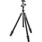 Gitzo GT1545T Series 1 Traveler Carbon Fiber Tripod with Center Ball Head & GM2542 Carbon Fiber Monopod (Special 50th Anniversary Kit)