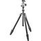 Gitzo GT2545T Series 2 Traveler Carbon Fiber Tripod with Center Ball Head & GM2542 Carbon Fiber Monopod (Special 50th Anniversary Kit)