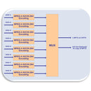 Translite Global 24-Channel HDMI H.264 Multichannel Encoder