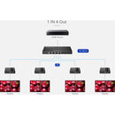 Translite Global TL-HS14 4K30 HDMI Splitter with Extender (230')