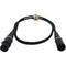 Enova NXT True Mold XLR Microphone Cable (3.3')