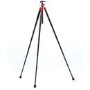 Fotopro X-Aircross 3 Carbon Fiber Travel Tripod with FPH-42QR Ball Head (Flame Orange)
