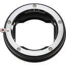 Rayqual Lens Mount Adapter for Leica-M Lens to Sony E-Mount Camera