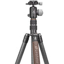 Leofoto LX-255CT Urban Series Carbon Fiber Tripod with XB-32 Ball Head