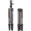 Leofoto LX-324CT Urban Series Carbon Fiber Tripod with XB-38 Ball Head (68.31")