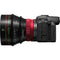 Canon CN-R 85mm T1.3 L F Cinema Prime Lens (Canon RF)