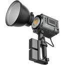 Yongnuo LUX200 Handheld Bi-Color LED Monolight Kit (Black)