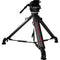 Cartoni Focus 22 Head with 2-Stage Carbon Fiber SmartStop Tripod with Mid-Level Smart Spreader Kit (100mm)