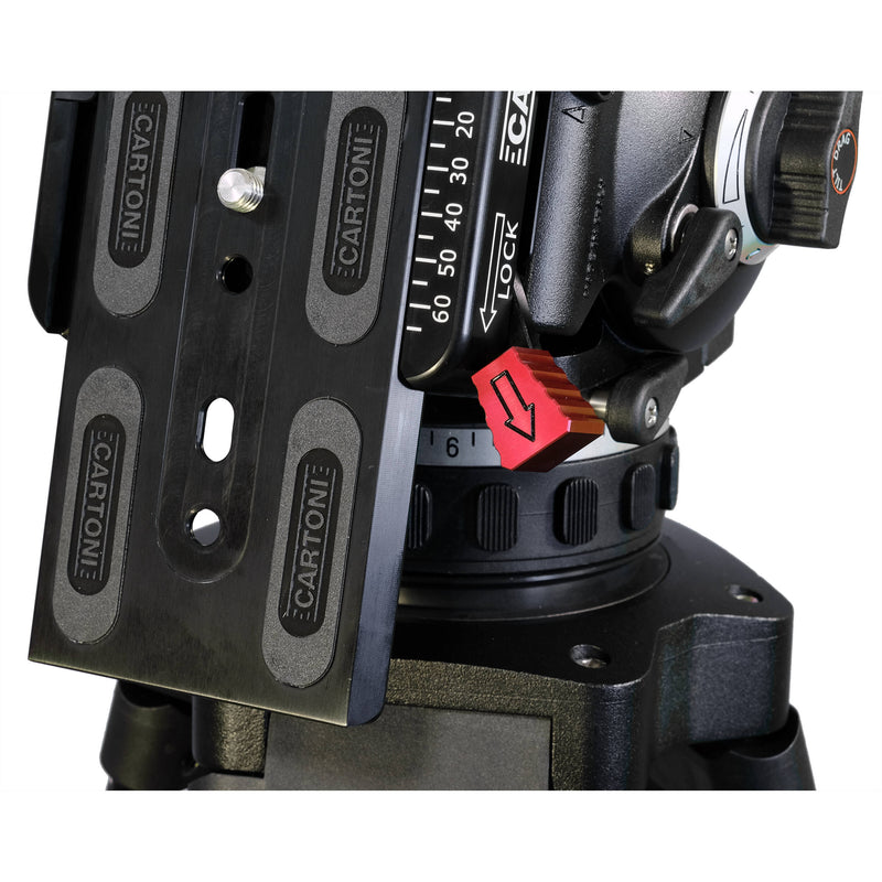 Cartoni Focus 22 Cine Fluid Head (100mm Half Ball)
