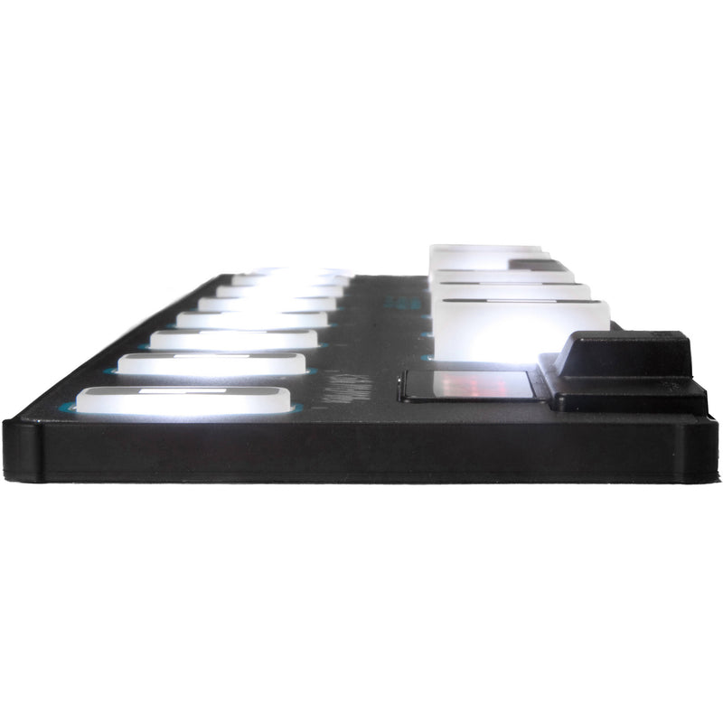 Muse Kinetics 12Step2 Chromatic Keyboard Foot Controller