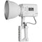 Yongnuo LUX200 Handheld Daylight LED Monolight Kit (White)