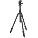 3 Legged Thing Punks Travis 2.0 Magnesium Alloy Tripod with AirHed Neo 2.0 Ball Head (Matte Black)