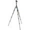 3 Legged Thing Punks Corey 2.0 Magnesium Alloy Tripod with AirHed Neo 2.0 Ball Head (Matte Black)