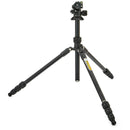 3 Legged Thing Punks Travis 2.0 Magnesium Alloy Tripod with AirHed Neo 2.0 Ball Head (Matte Black)