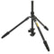 3 Legged Thing Punks Travis 2.0 Magnesium Alloy Tripod with AirHed Neo 2.0 Ball Head (Matte Black)