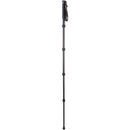 3 Legged Thing Taylor 2.0 5-Section Magnesium Alloy Monopod (Darkness)