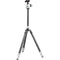 Gitzo Legende Series 1 Carbon Fiber Travel Tripod Kit with Ball Head & Leather Strap