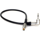 DigitalFoto Solution Limited DIN 1.0/2.3 to 3.5mm Right-Angle Timecode Cable for Canon R5 C/DIN Cameras (11.8")