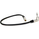 DigitalFoto Solution Limited DIN 1.0/2.3 to 3.5mm Right-Angle Timecode Cable for Canon R5 C/DIN Cameras (11.8")