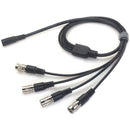 DigitalFoto Solution Limited AR96-DC DC Female to 4 Hirose Connectors Cable for Sound Devices 688 and 788T (27.5")